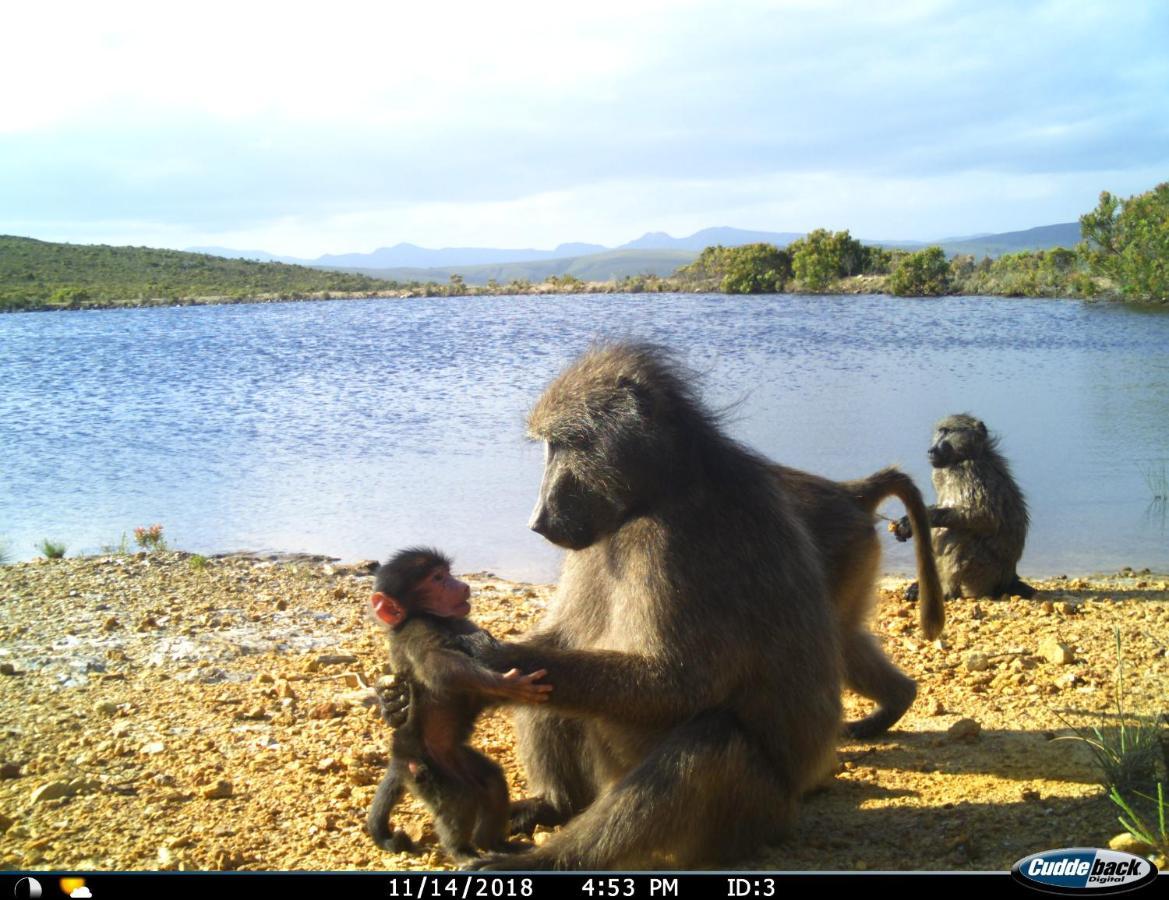 Farm 215 Private Nature Reserve Uilenkraal Luaran gambar