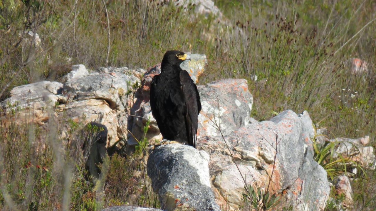 Farm 215 Private Nature Reserve Uilenkraal Luaran gambar