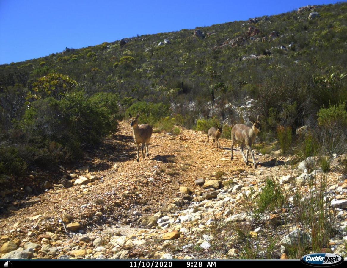 Farm 215 Private Nature Reserve Uilenkraal Luaran gambar